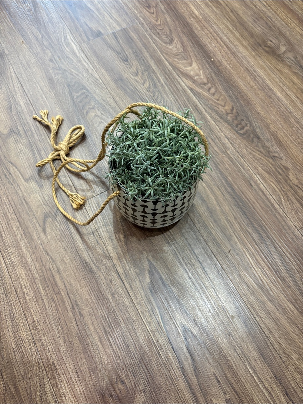Hanging Faux Succulent Planter in Green